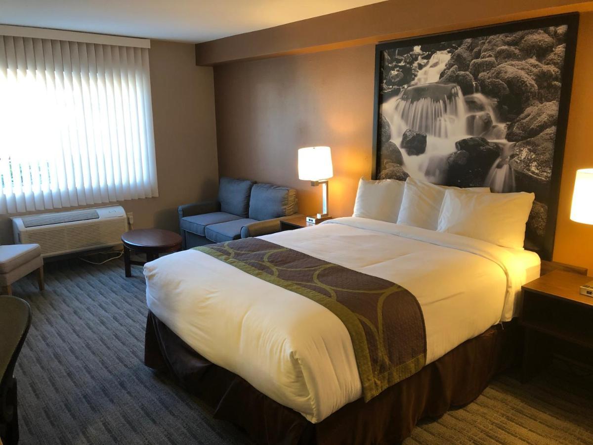 Super 8 By Wyndham Lynnwoodモーテル エクステリア 写真