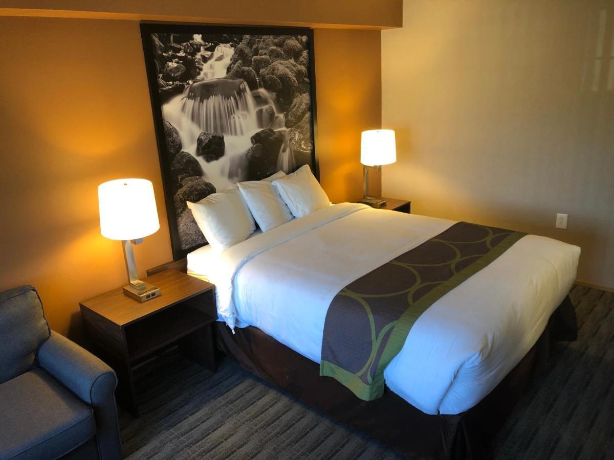 Super 8 By Wyndham Lynnwoodモーテル エクステリア 写真